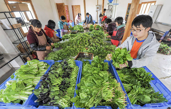蔬菜配送APP平臺開發