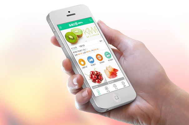 社區(qū)生鮮O2O平臺(tái)運(yùn)營(yíng)方案:從零教你開(kāi)發(fā)運(yùn)營(yíng)社區(qū)生鮮電商App