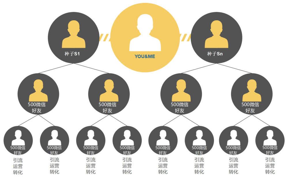 2019社交電商模式分析,社交電商app軟件制作,軟件開發(fā)公司哪個好