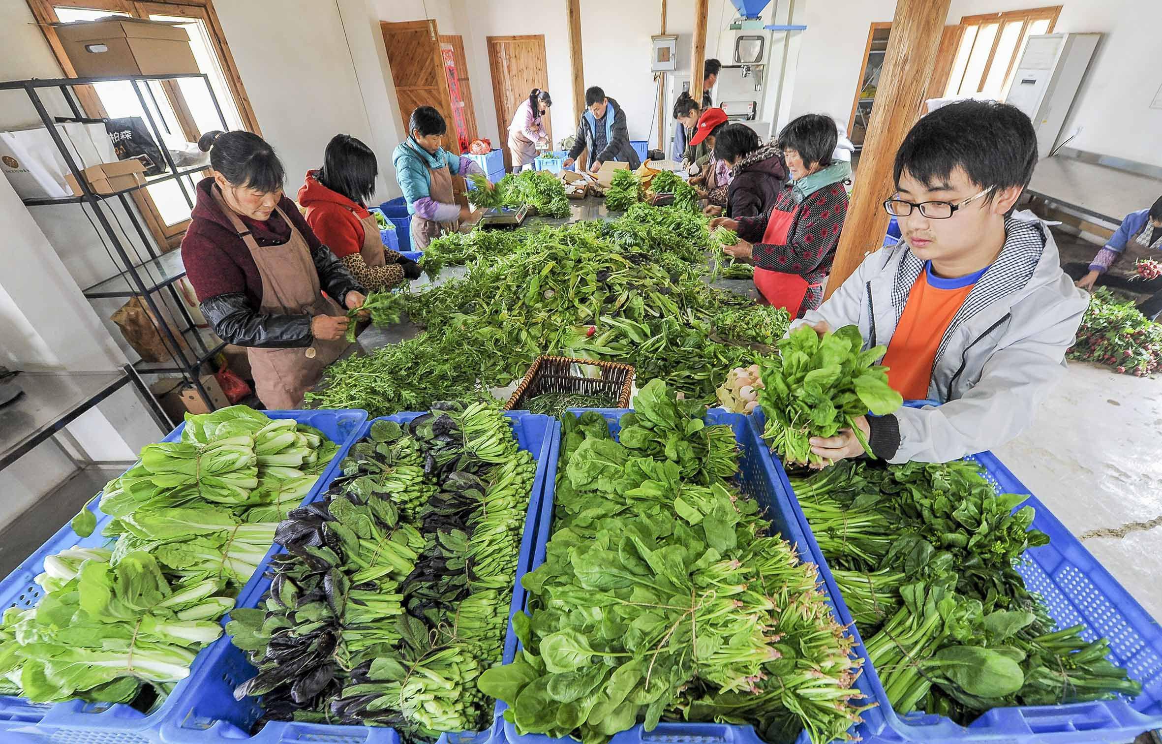 教你0技術10分鐘快速開發(fā)生鮮送菜app,成本節(jié)省90%