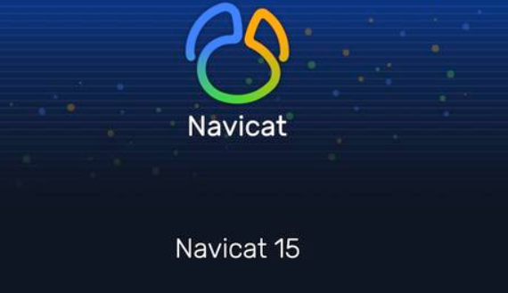 Navicat Premium 數(shù)據(jù)庫開發(fā)工具